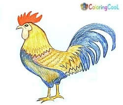 How To Draw A Rooster – The Details Instructions Coloring Page