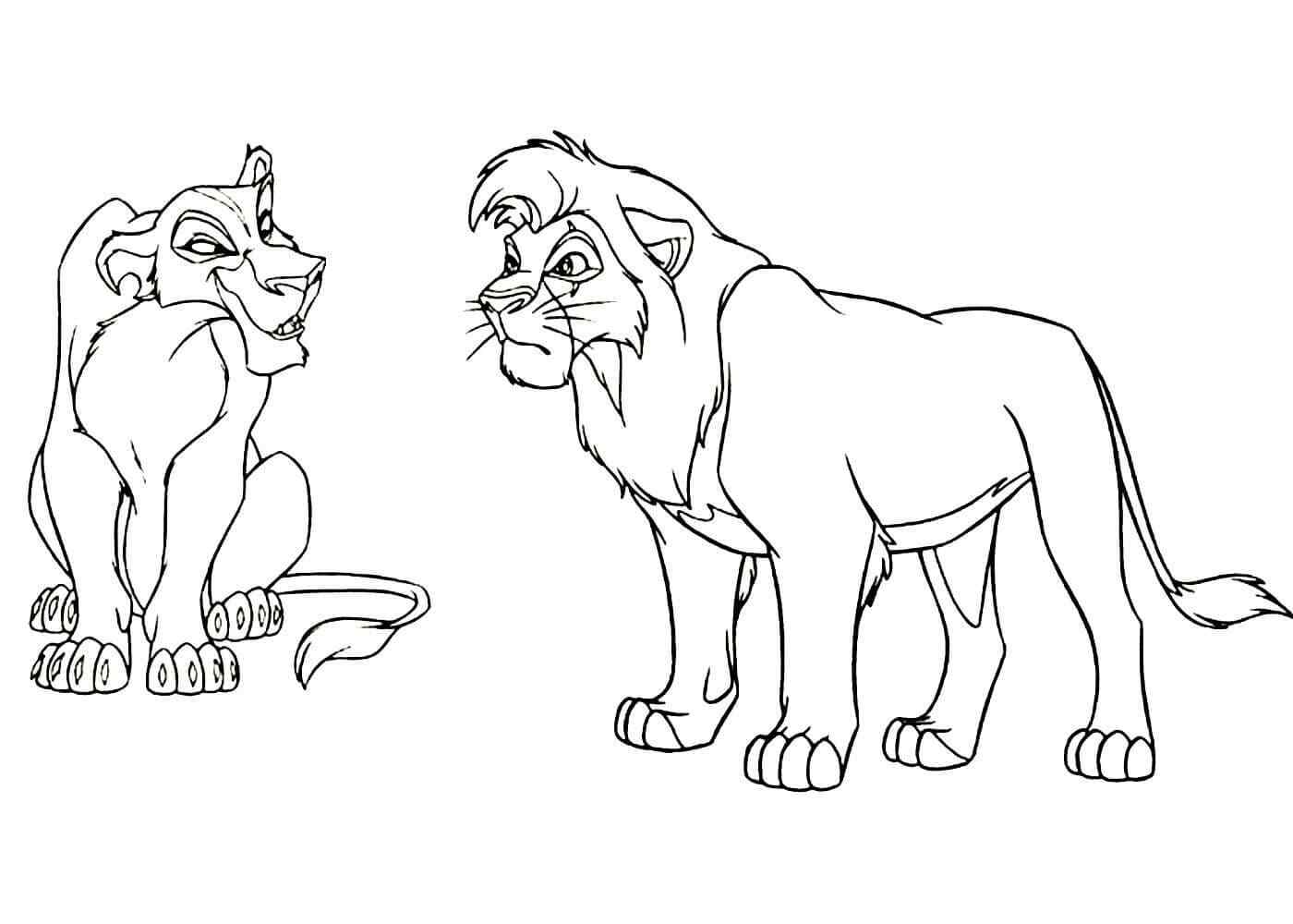 Lion Showdown Simba And Zira