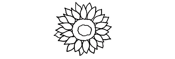 Sunflower-drawing-3