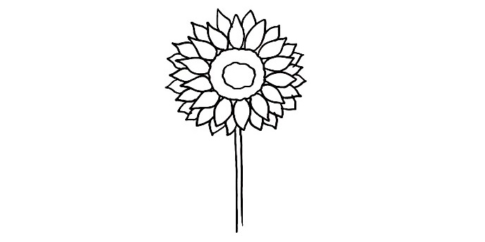 Sunflower-drawing-4