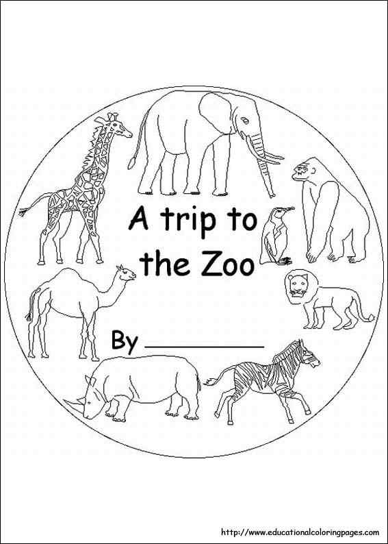 Zoo Animals For All