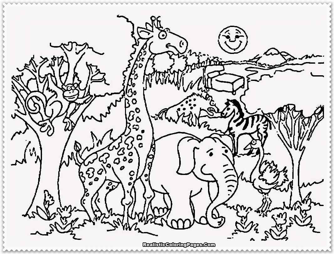 Zoo Animals Coloring Pages   Coloring Cool