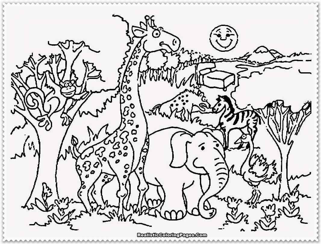 Zoo Animals Coloring Page