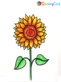 How To Draw A Sunflower – The Details Instructions Coloring Page