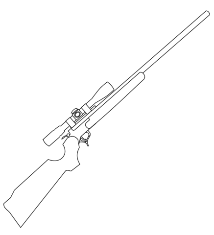 Rifle With Scope