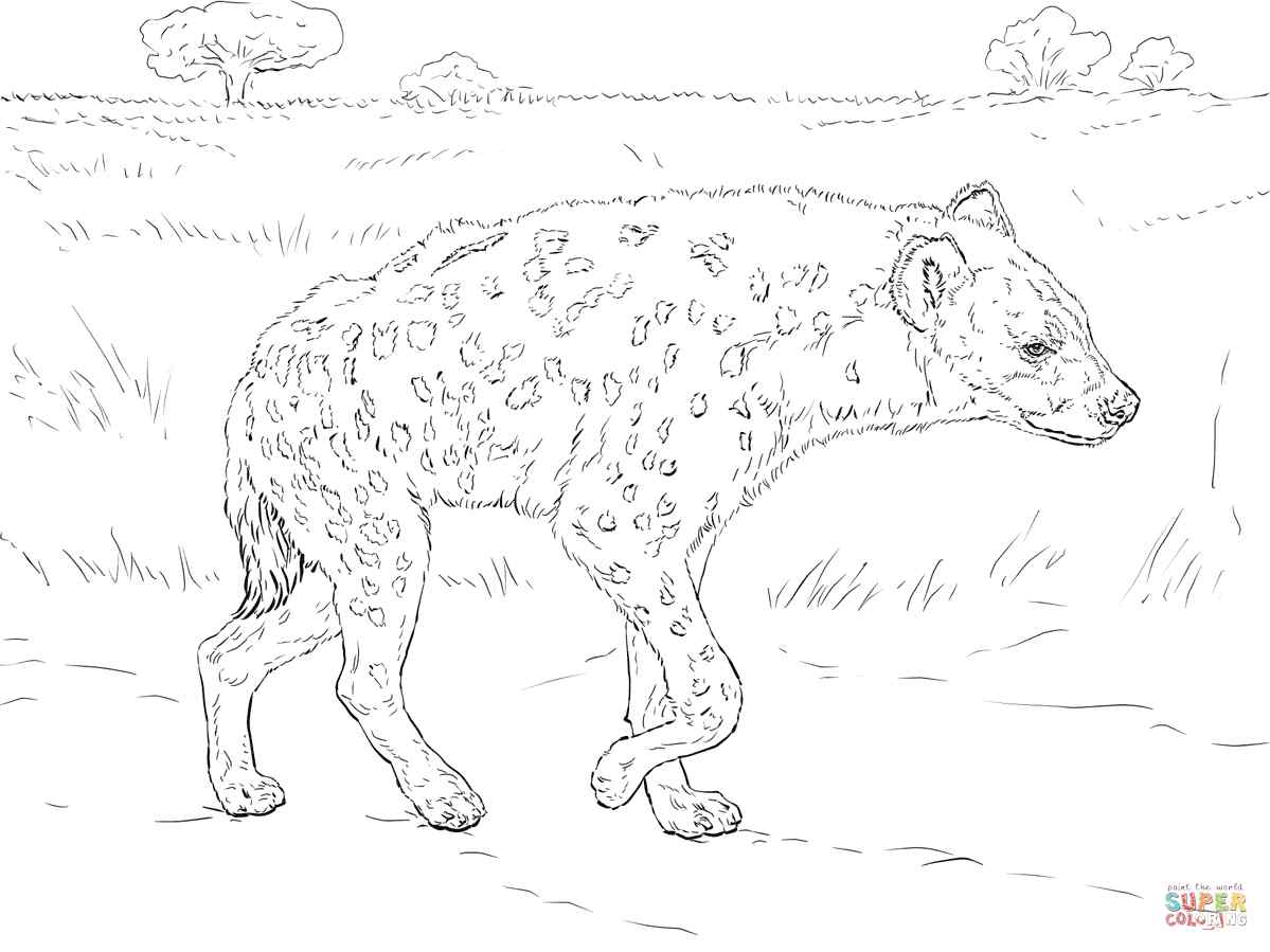 Spotted Hyena Coloring Page