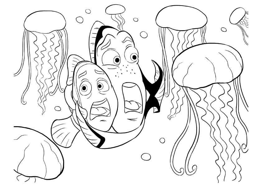 Jellyfish Attack For Finding Nemo