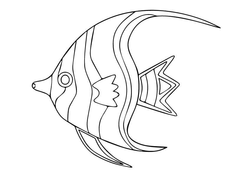 Striped A Gill For Finding Nemo Coloring Page