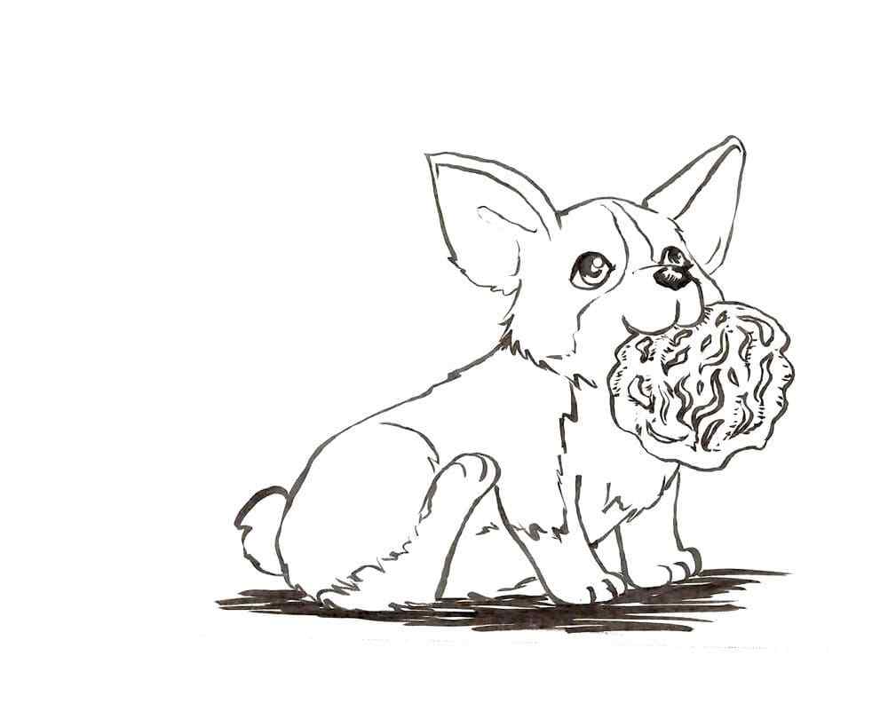 The Little Puppy Stole A Piece Of Meat Coloring Page