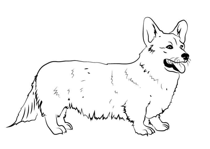 This Breed Of Dog Is A Favorite Among Kings Coloring Page