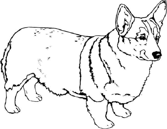 This Breed Of Dog Coloring Page