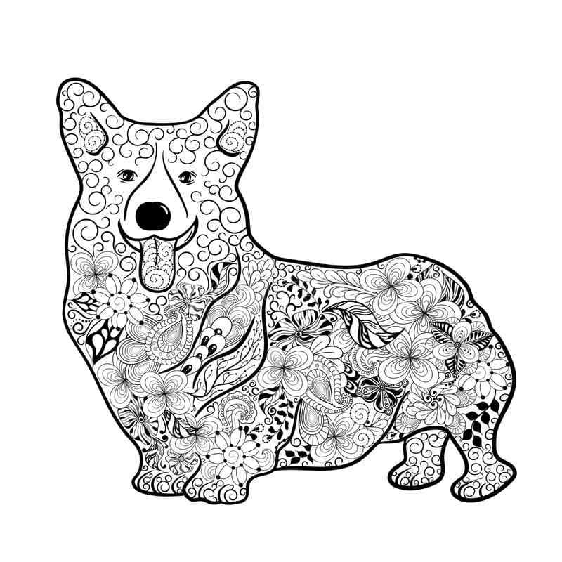 Color Your Baby Corgi Coloring Page
