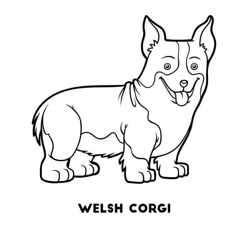 Welsh Corgis Love To Swim In Water Coloring Page