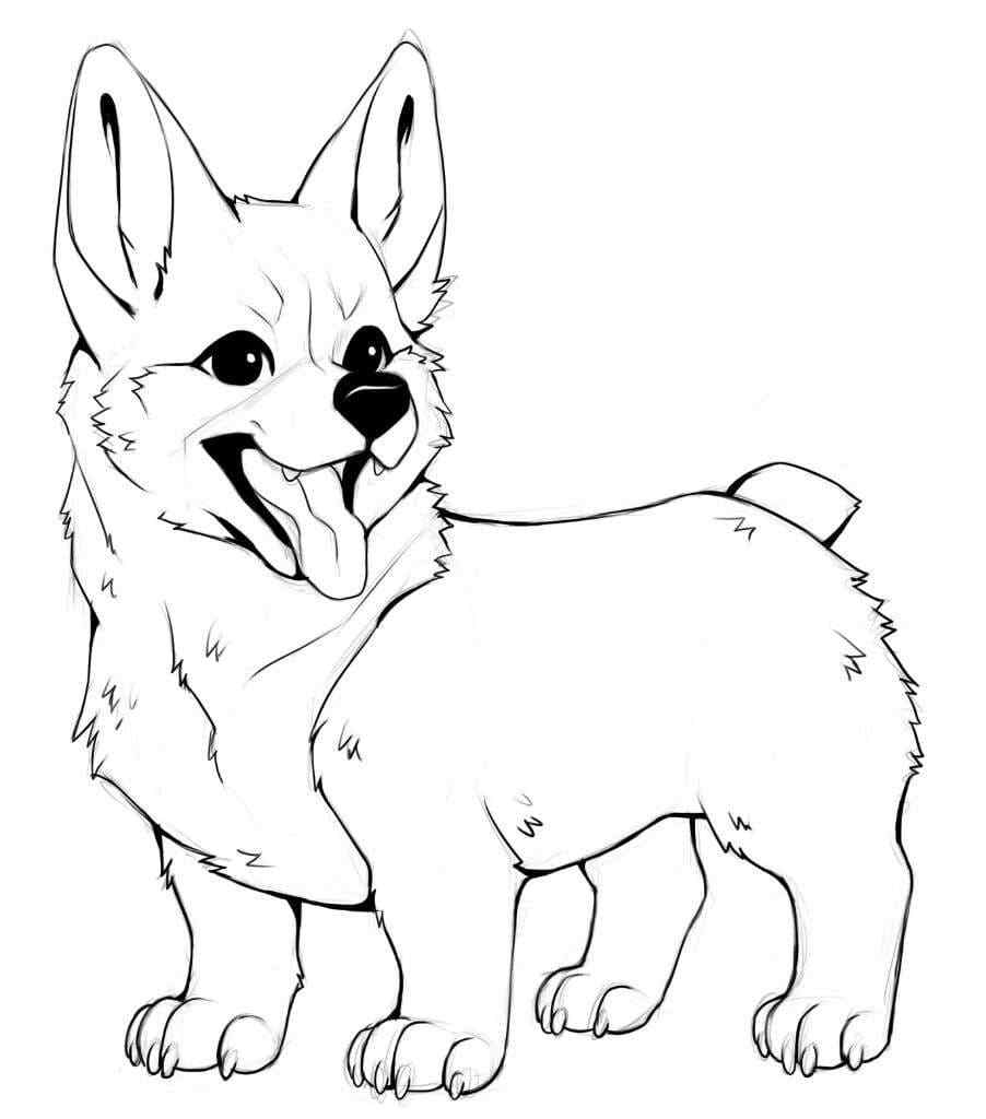 Would You Like Such A Puppy, Nice Corgi Coloring Page