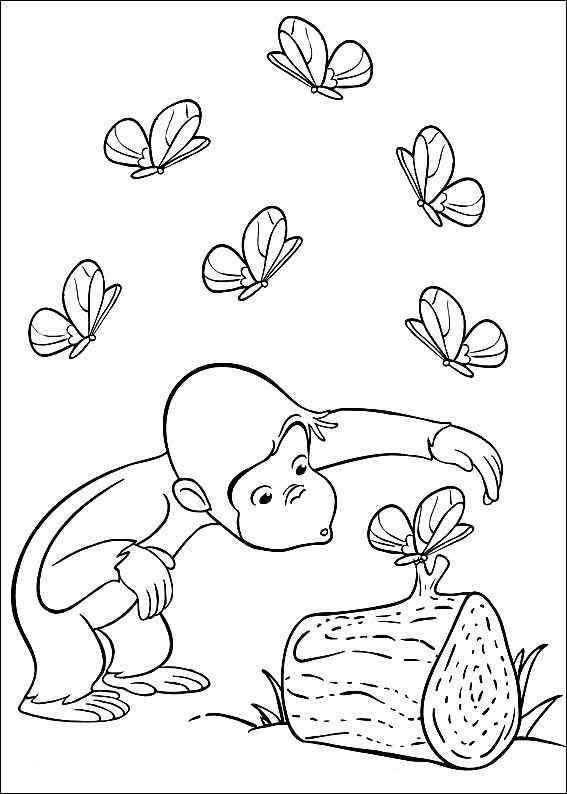 Curious George With Butterflife