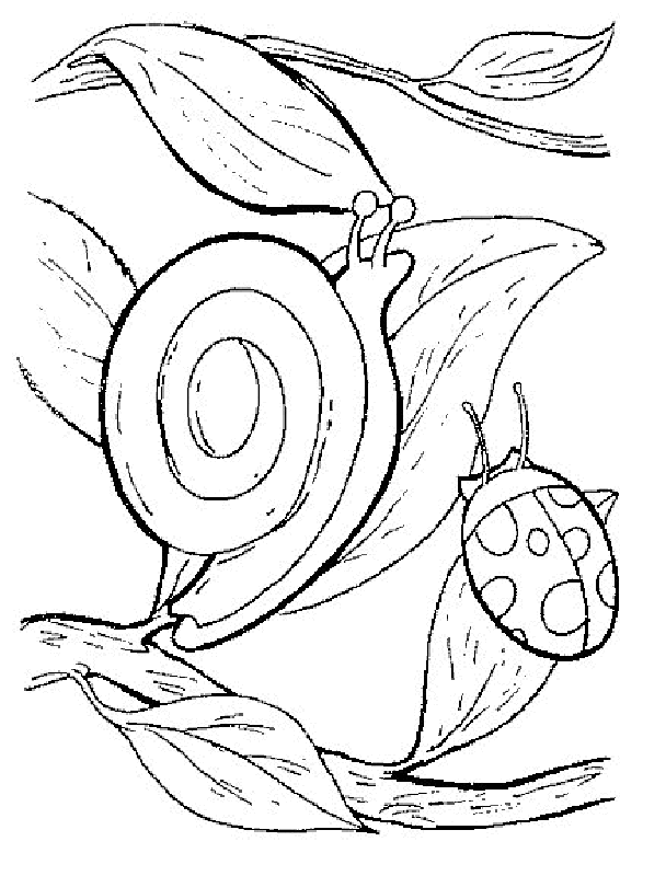 Cute Happy Snail