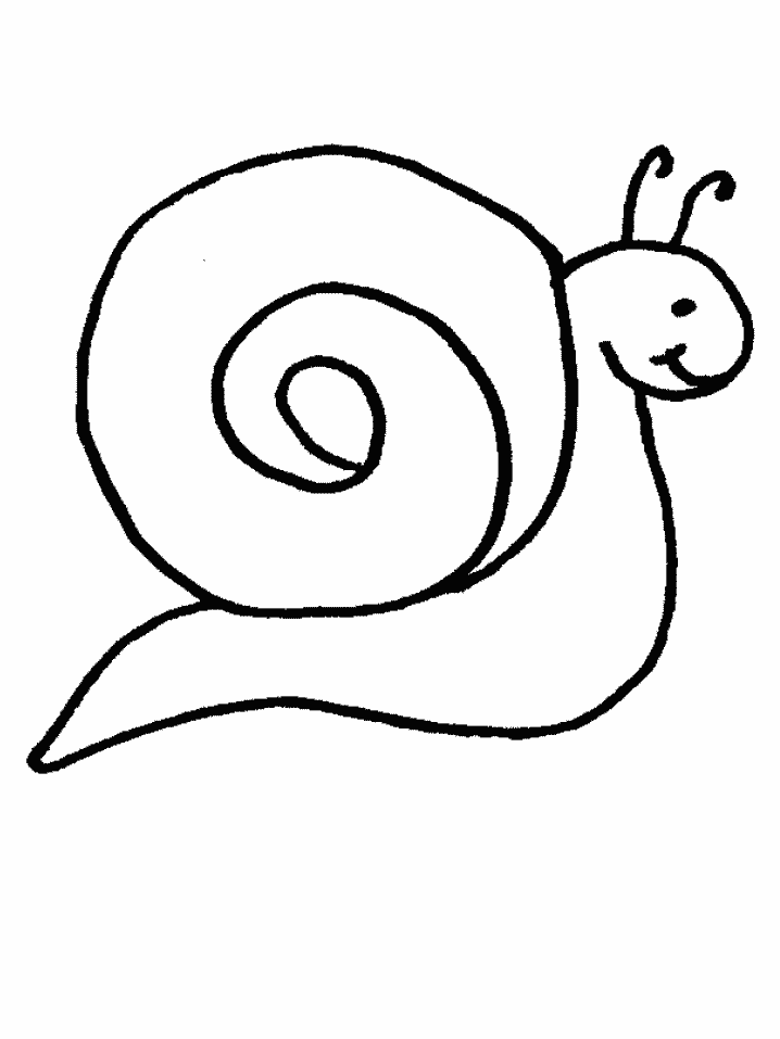 Cute Snail For Kid