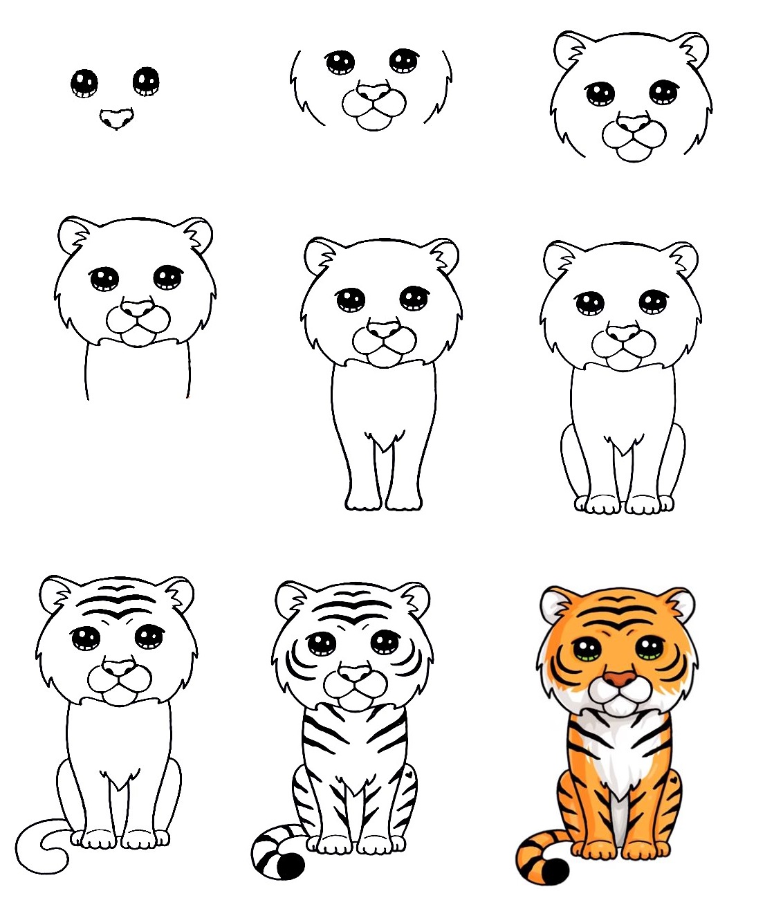 Tiger-Drawing