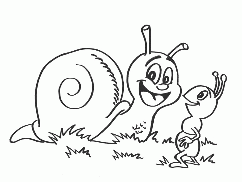 New Cute Snail For Children