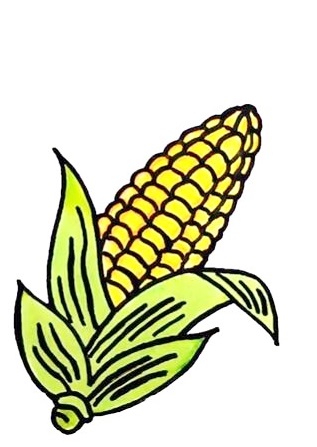 corn finish