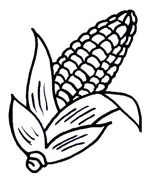 corn step5
