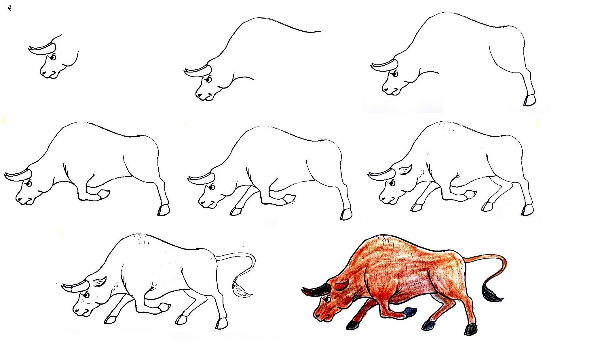 how to draw bull