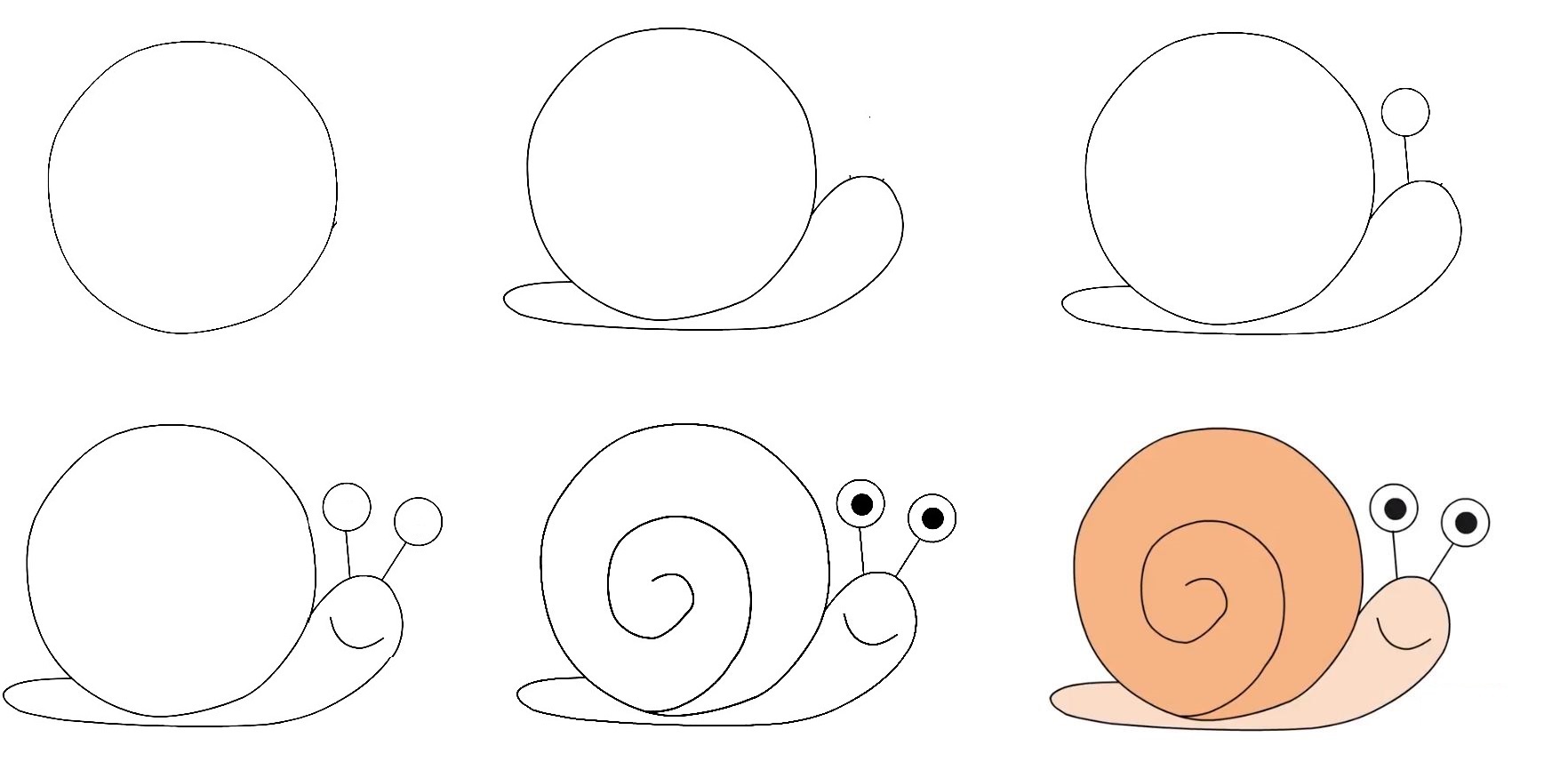 how to draw snail