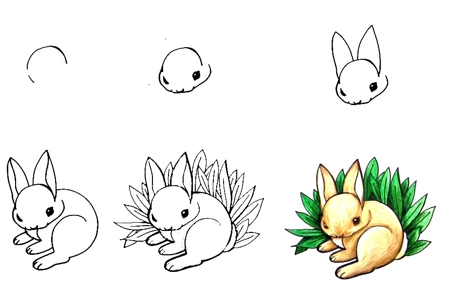 How To Draw A Bunny - The Details Instructions 1 htdr bunny