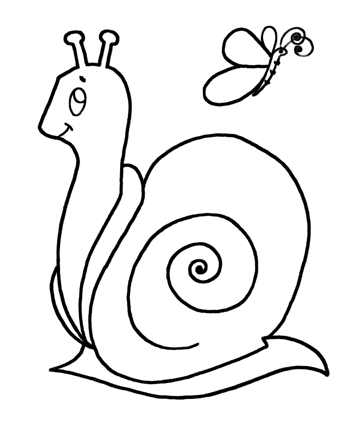 New Snail To Print For You