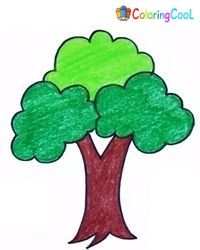 How To Draw A Tree – 6 Easy Steps Creating A Tree Drawing Coloring Page