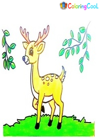 How To Draw A Deer  – The Details Instructions Coloring Page
