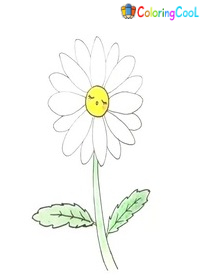 Daisy Drawing Is Gotten In 9 Steps Coloring Page