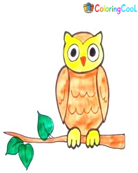 Owl Drawing Is Created In 9 Easy Steps Coloring Page