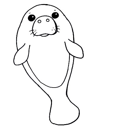 How To Draw A Manatee - The Details Instructions 7 manatee step66