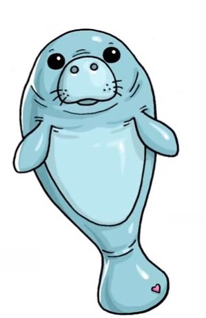 How To Draw A Manatee - The Details Instructions 9