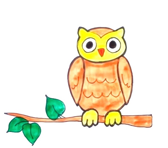 How to Draw An Owl – The Details Instructions 10 owl color