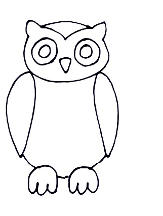 owl step5