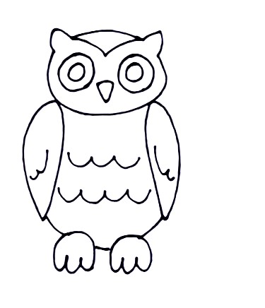 owl step6