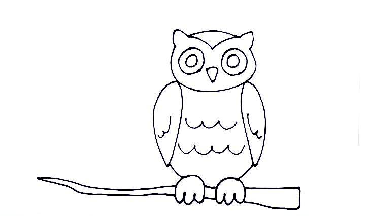 How to Draw An Owl – The Details Instructions 8 owl step7
