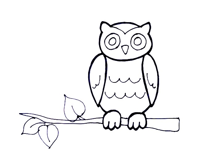 How to Draw An Owl – The Details Instructions 9 owl step8