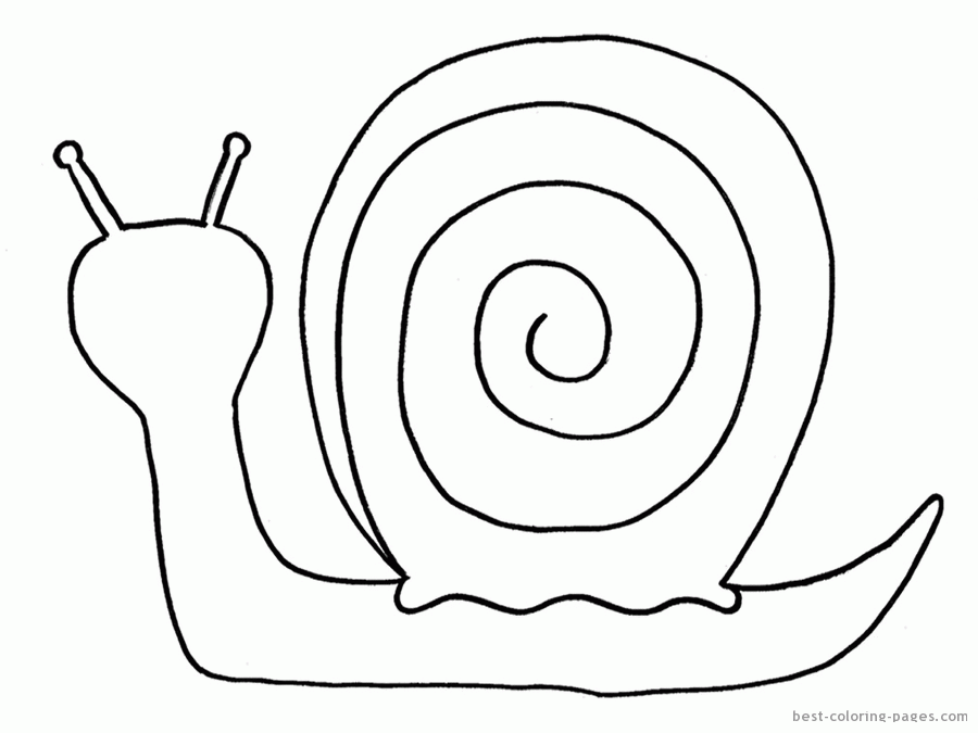 Snail To Print For Kids