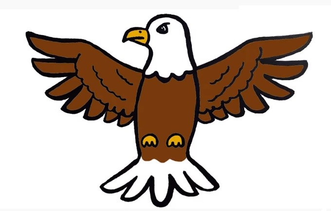 How To Draw An Eagle – The Details Instructions 10 step99