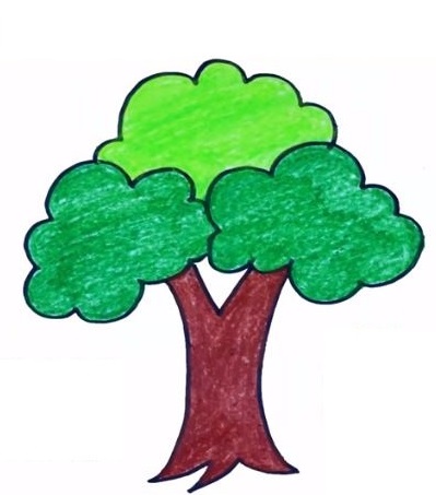 How To Draw A Tree - The Details Instructions 7