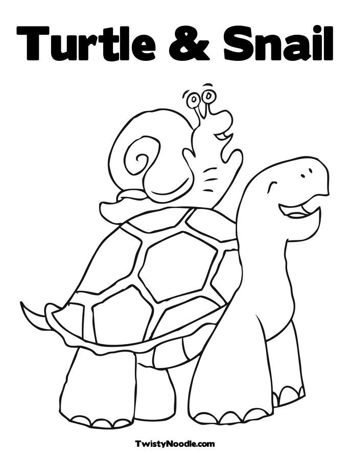 Turtle And Snail
