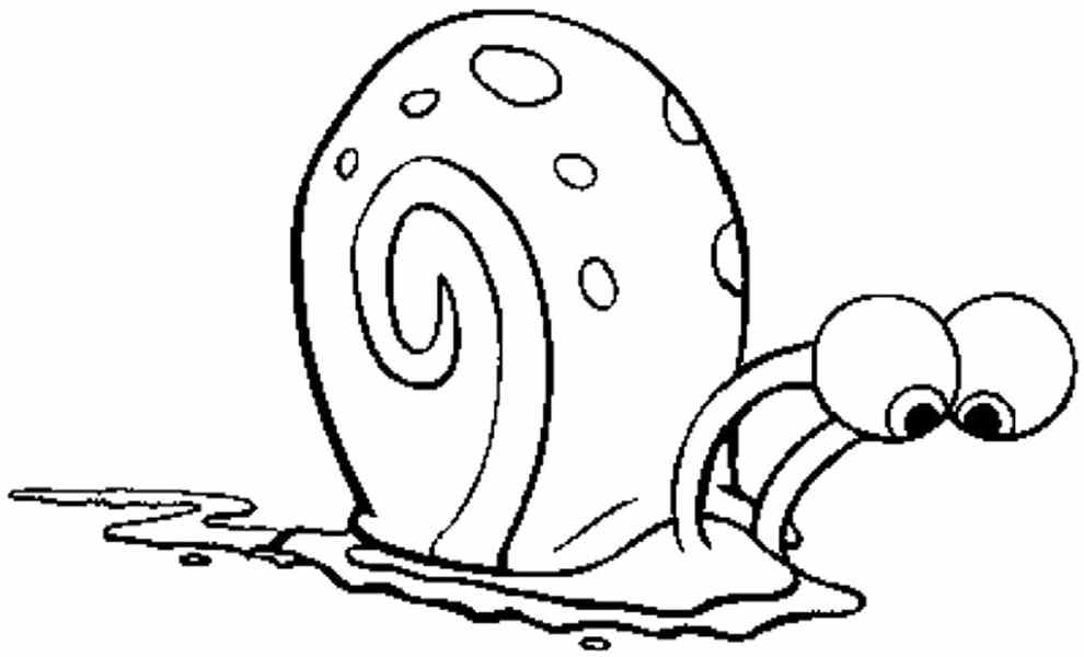 New Snail For Kids