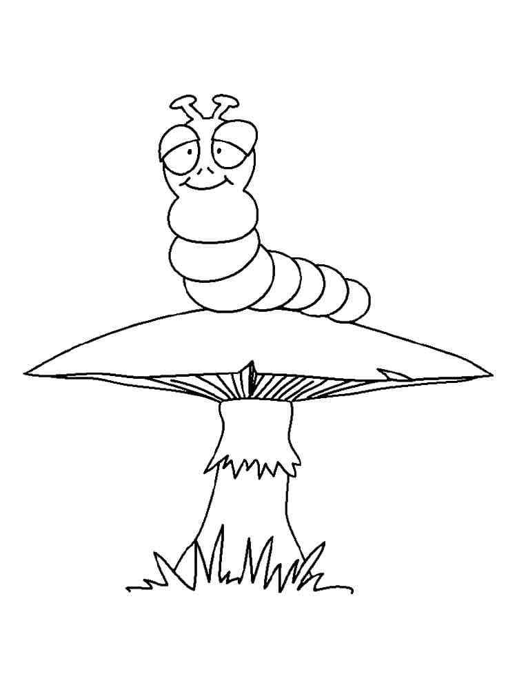 A Caterpillar On A Mushroom