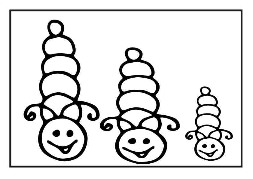 A Whole Family Of Caterpillars
