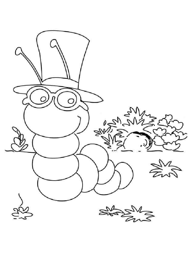 Caterpillar Professor In A Hat