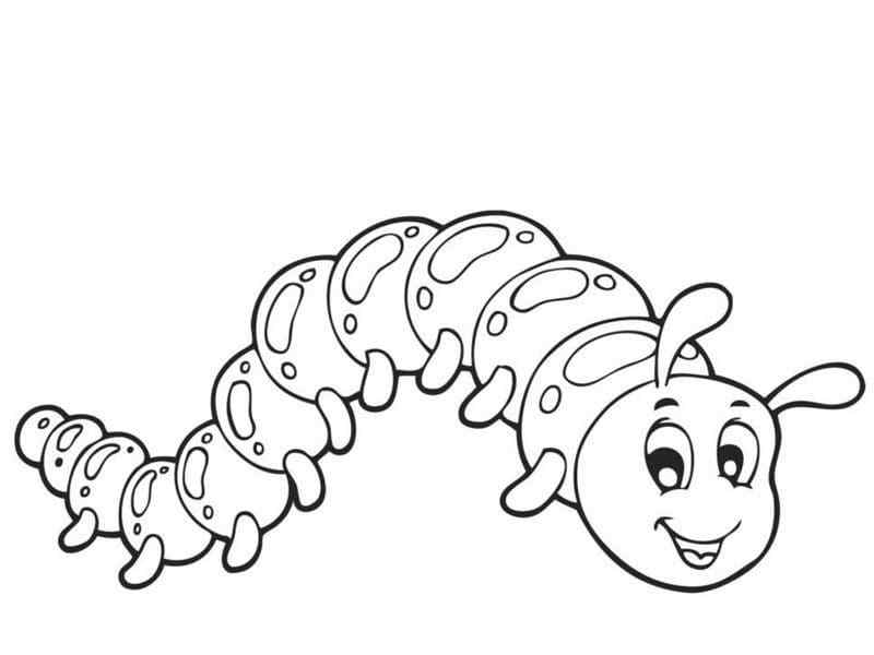 The Caterpillar Resembles A Worm Coloring Page