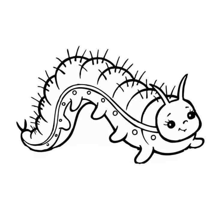 The Body Of The Caterpillar Coloring Page